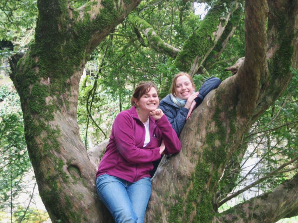 Friends in a tree