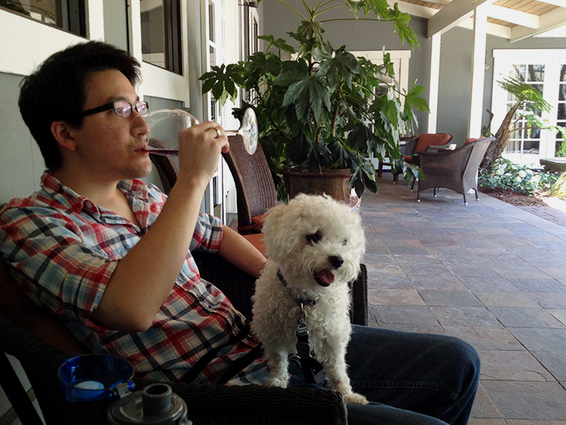 DeLoach Vineyards patio wine tasting with dog