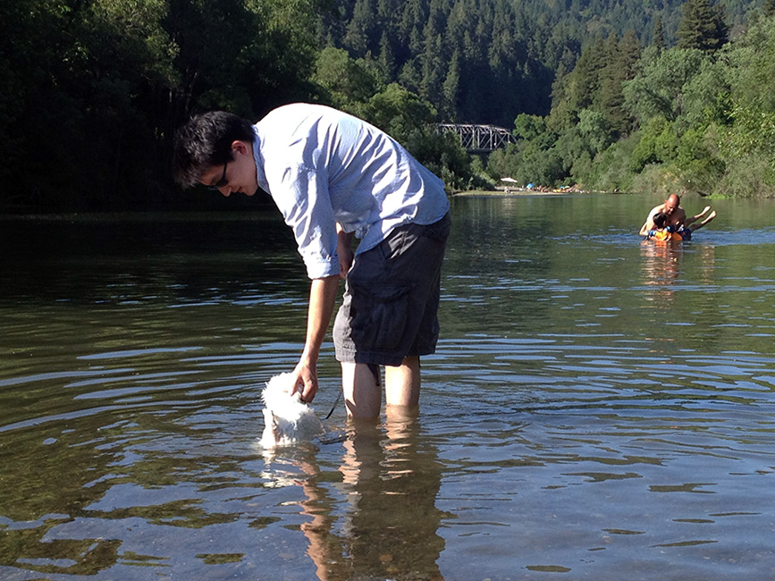 small dog Russian River