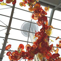 Chihuly Garden and Glass and Space Needle